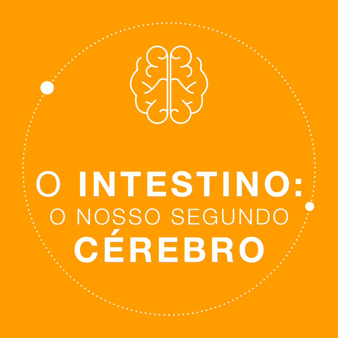 Sabia que a microbiota intestinal comunica com nosso cérebro?